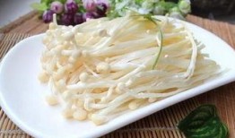 金针菇今日爆料最新,揭秘娱乐圈惊人内幕！