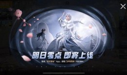 至美皮肤最新爆料视频,惊艳效果与神秘技术大揭秘