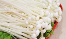 金针菇今日爆料最新,揭秘娱乐圈惊人内幕！