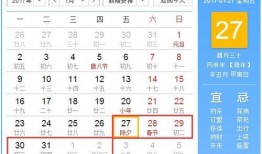 春节重庆爆料最新消息,最新爆料揭秘山城年味盛况