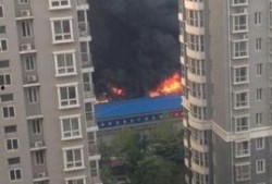 石家庄谈固最新爆料,石家庄城区发展新动向揭秘