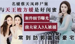 蔡天凤最新爆料,揭秘事件背后惊人真相