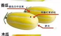 最新爆料瓜条,揭秘娱乐圈惊天秘密