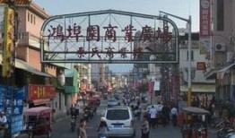 鸿埠园最新爆料信息网,揭秘网络热点背后的真相与内幕