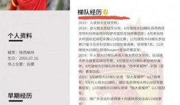 富力爆料最新消息今天,今日热点事件深度解析