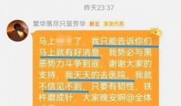 金华粉丝爆料案件最新情况,疑云重重，真相渐明