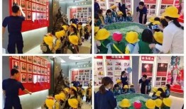 幼儿园最新爆料视频播放,萌娃日常趣味瞬间大揭秘